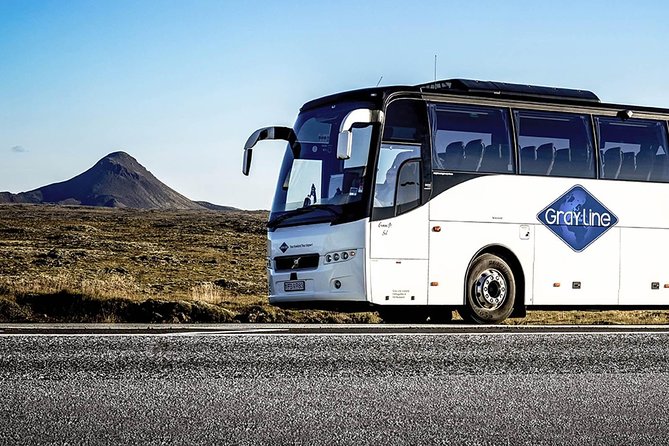 Airport Express Shared Arrival Transfer from Keflavik Airport to Reykjavik Hotels - How to time your arrival day for less frustration