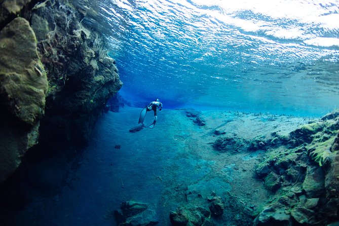 Freedive Silfra Half Day Tour - What’s Included vs. What You’ll Need to Bring