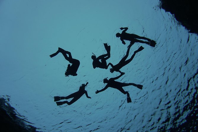 Freedive Silfra Half Day Tour - Timing, Group Size, and Why It Feels Organized