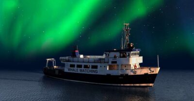 From Reykjavik: Northern Lights Sightseeing Cruise - Old Harbour House Check-In: Quick Start Without Headaches