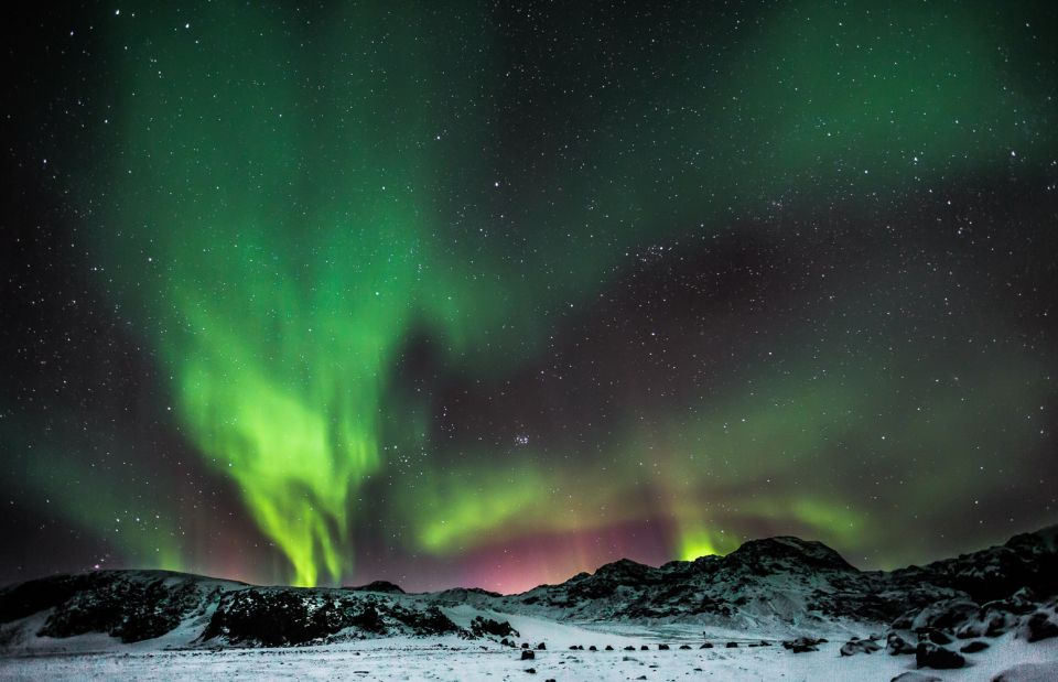 From Reykjavik: Northern Lights Tour with Lifetime Guarantee - Price and value: is $73 worth the gamble?