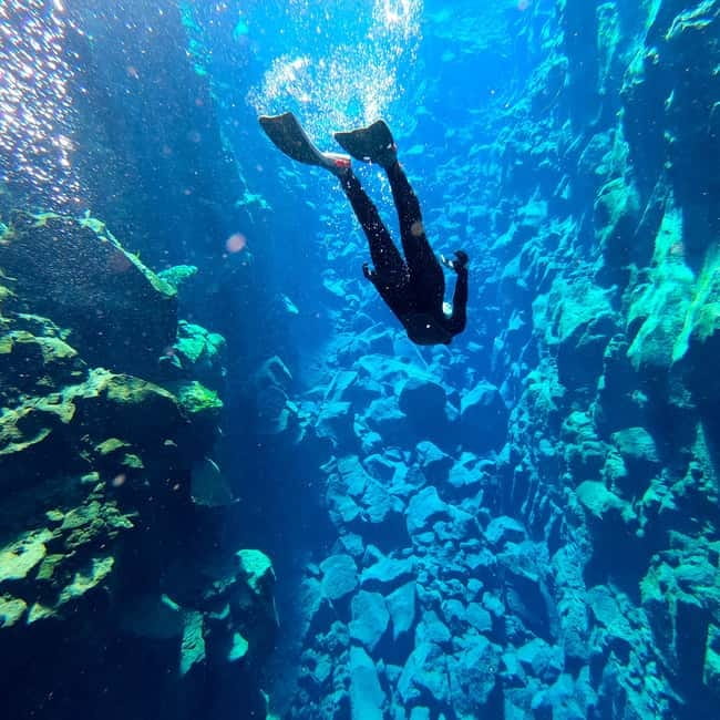 From Reykjavik: Silfra Snorkeling with Free Photos - Thingvellir UNESCO and the Plates Under Your Feet