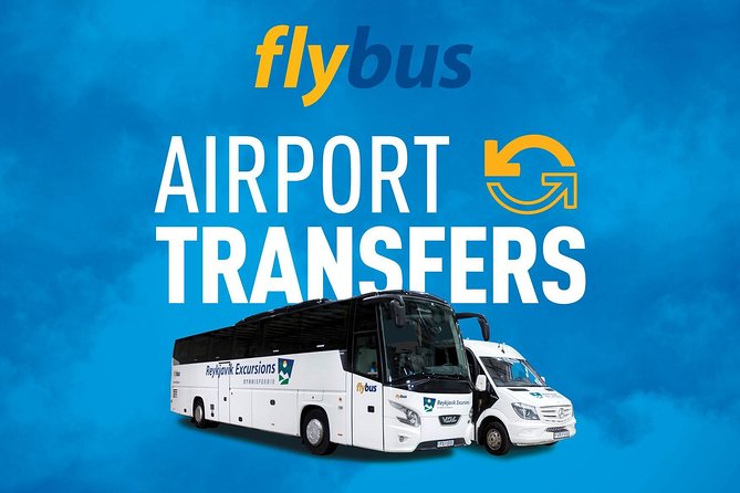 Iceland: Airport Transfers between Keflavík and Reykjavik Center - Arriving at BSÍ Bus Terminal Reykjavík: your next move