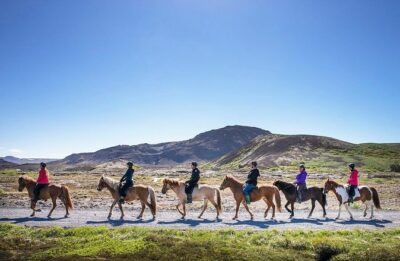 Icelandic Horseback Riding Tour with Pickup Option from Reykjavik - What happens at the stables before you ride