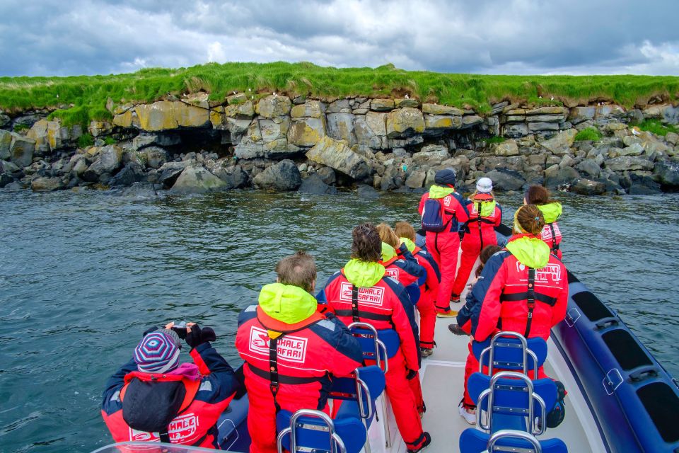 Reykjavik: Puffin Watching Tour - Old Harbour Setup: Whale Safari Office to Safety Suits