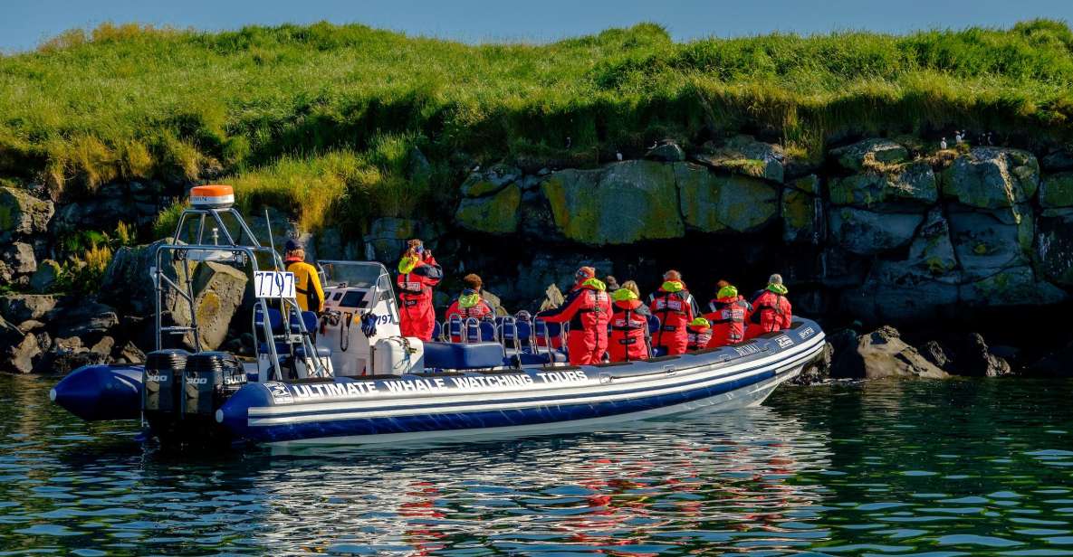 Reykjavik: Puffin Watching Tour - Guides and Captains: Turning Birds Into a Real Story