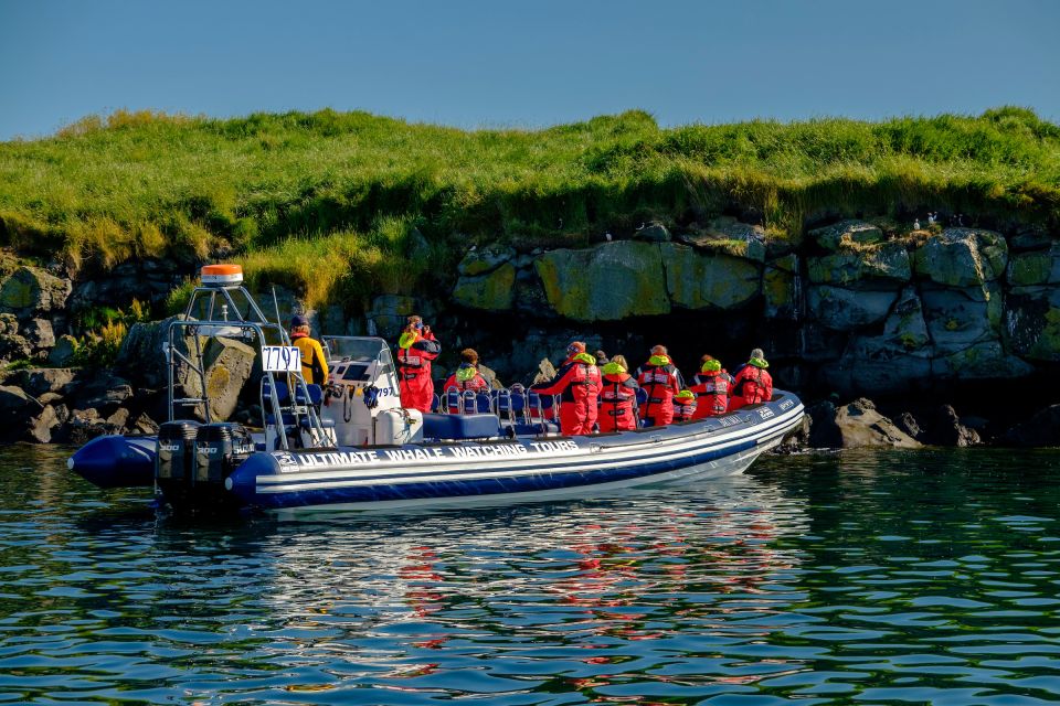 Reykjavik: Puffin Watching Tour - Where You Start: Reykjavík Old Harbour and the Ease of Getting Set