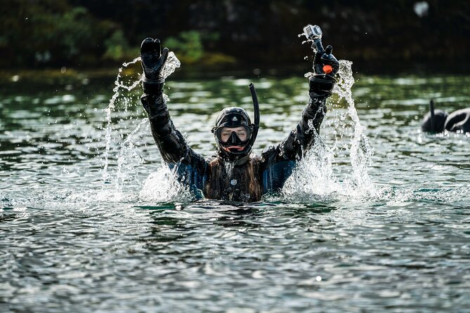 Snorkel the Silfra Fissure-Meet on Location (Free Photos & Cocoa) - Silfra Fissure 101: what you’re really snorkeling